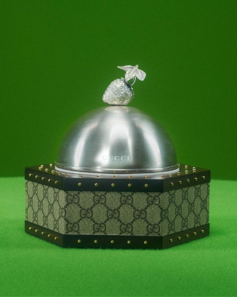 Gucci pet