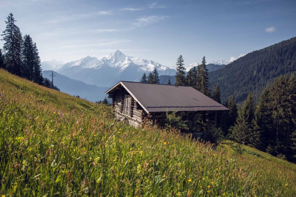 ALMA - Austria - Brigitte
