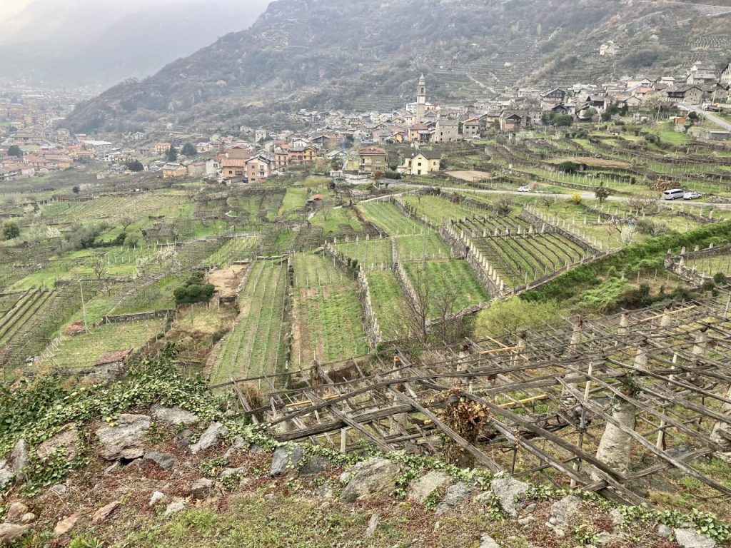 Carema