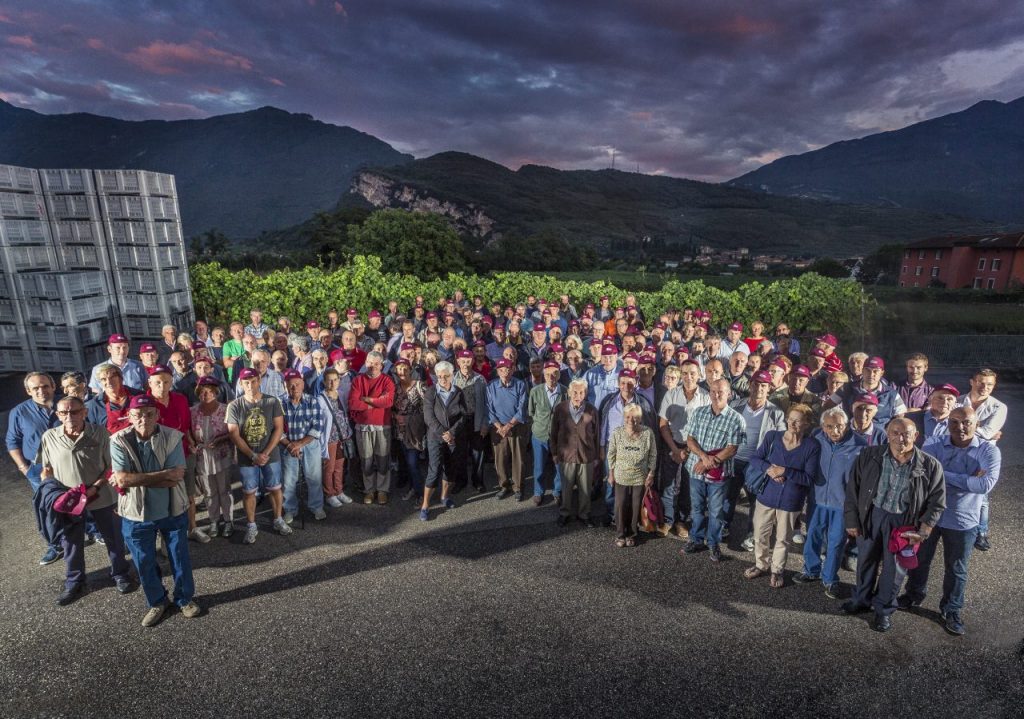 I soci di Agraria Riva del Garda