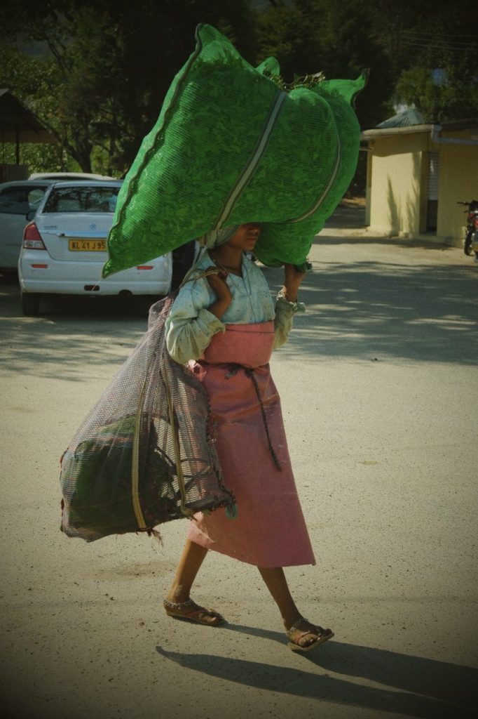 India, foto di Maria Vittoria Caporale
