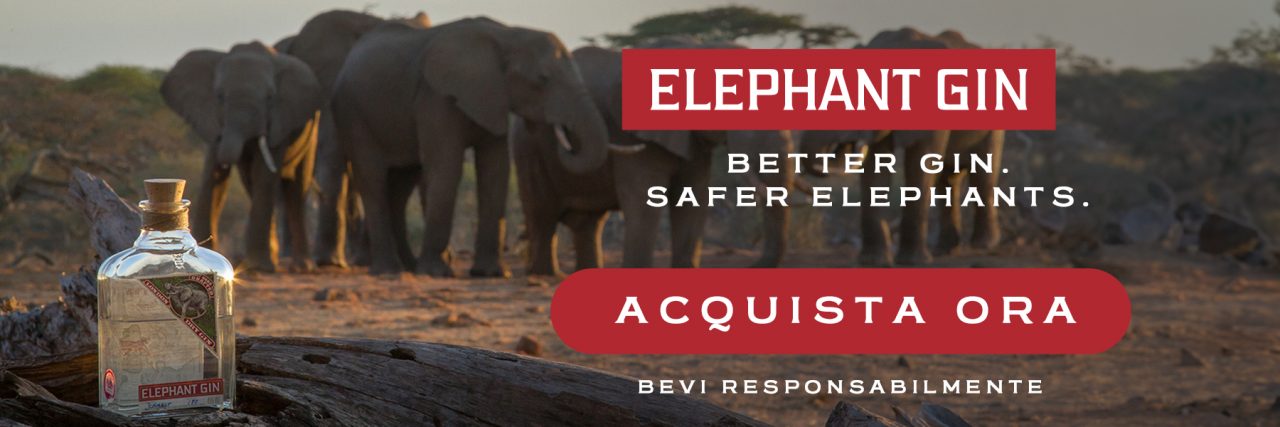 Compagnia dei Caraibi, Elephant Gin