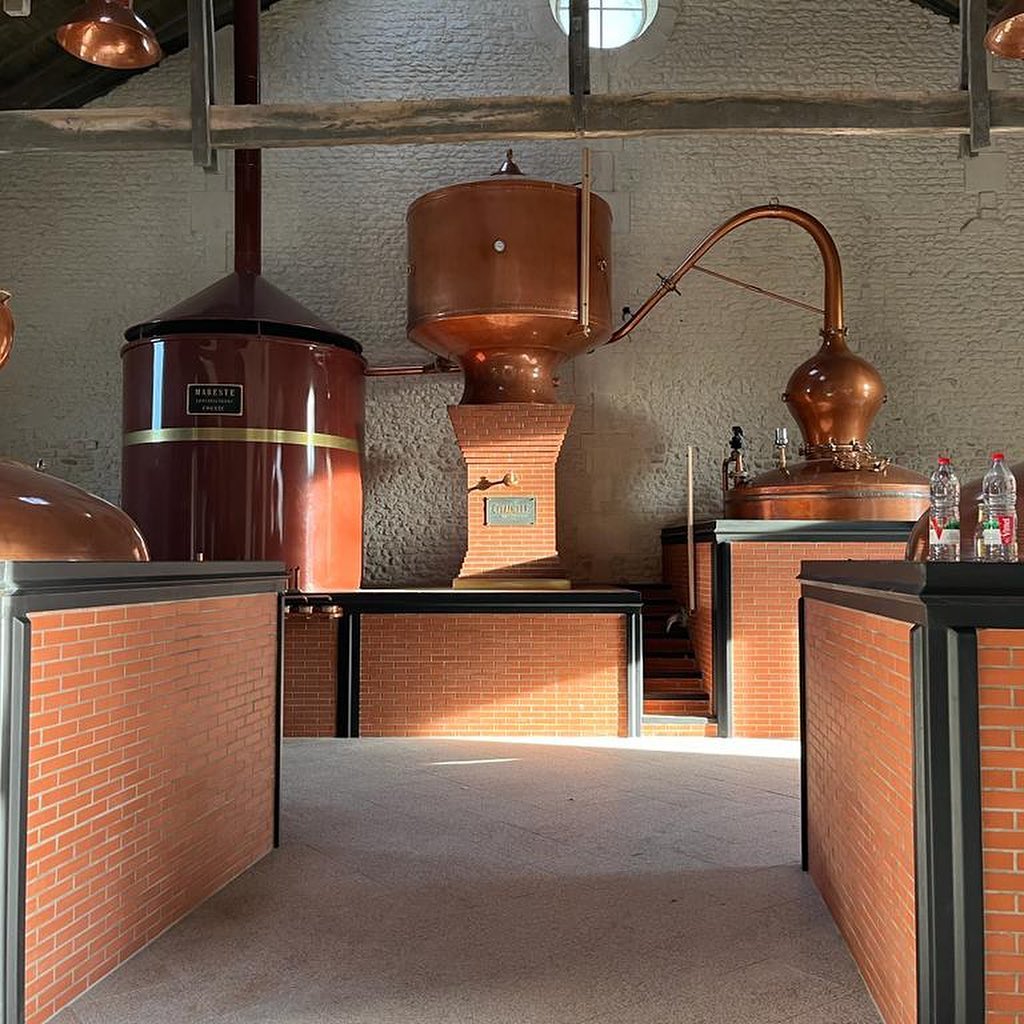 Gli alambicchi di Citadelle Gin, importato in Italia da Compagnia dei Caraibi