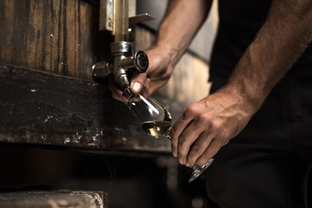 Assaggi di Cognac nella barricaia di Maison Ferrand