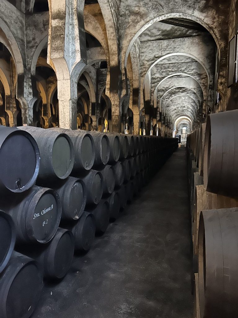 La Mezquita, "cattedrale sotterranea" di Bodegas Fundador (credits Bodegas Fundador)