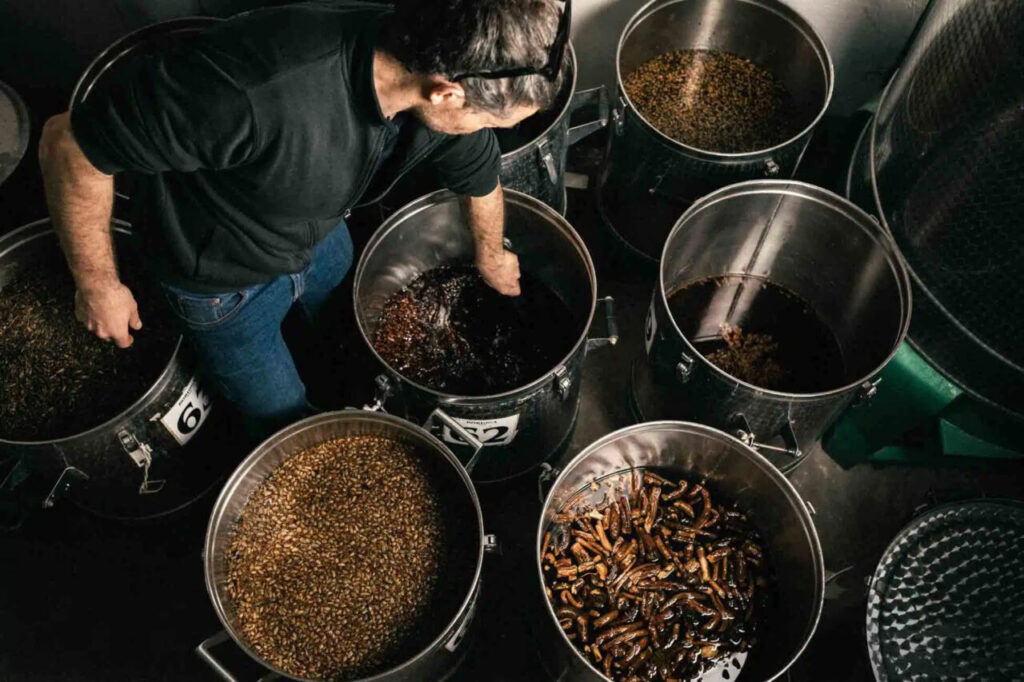 Preparazioni di infusioni presso la distilleria Bordiga (credits Bordiga 1888)