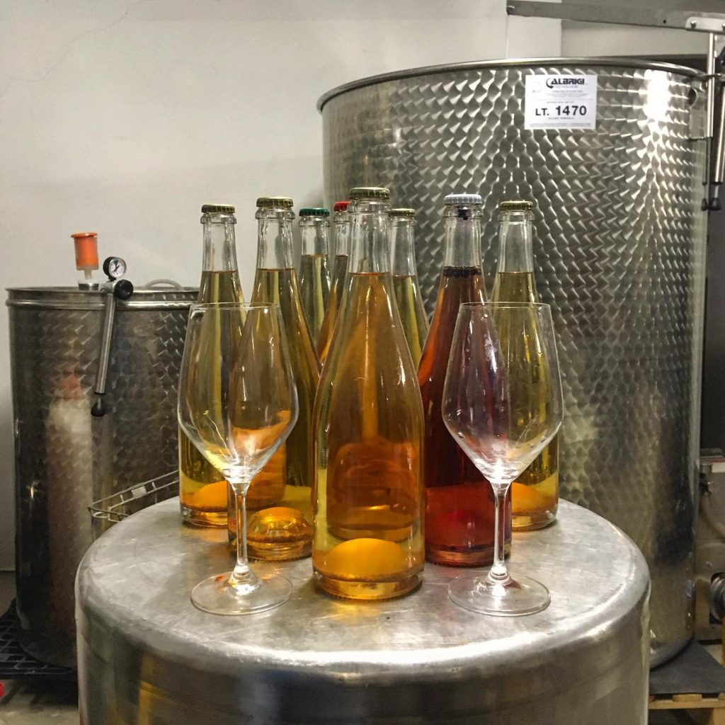 Produzione di sidro nell'azienda Floribunda a Salorno, BZ (credits Floribunda)