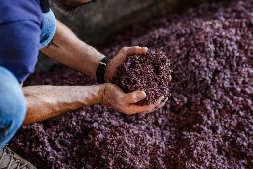 Vinaccia appena arrivata in distilleria (credits Distilleria Fratelli Pisoni)