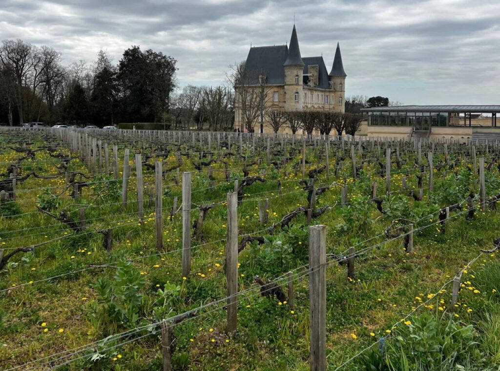Chateaux Pichon Baron a Bordeaux (foto di Andrea Moser)