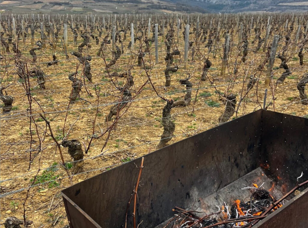 Potatura in Borgogna, con la tipica cariola per bruciare i sarmenti (foto di Andrea Moser)