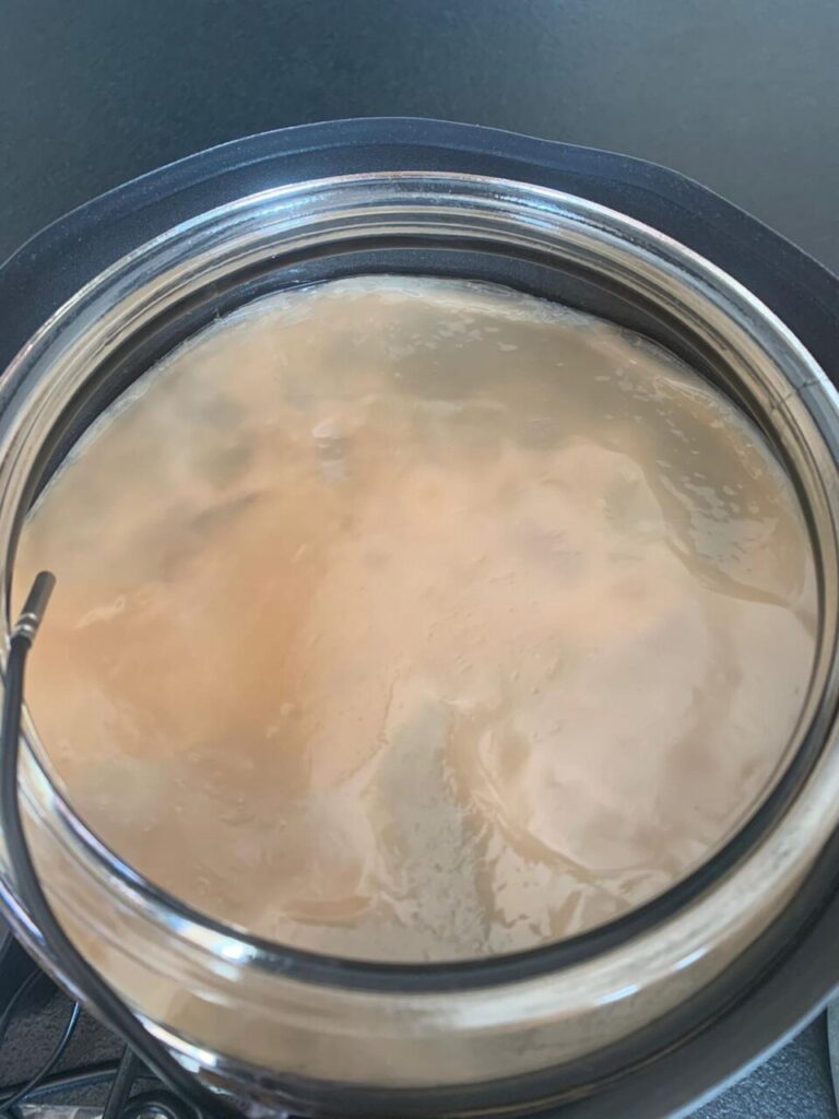 Lo Scoby in azione, mentre forma uno strato sul liquido in fermentazione (credits Andrea Moser)