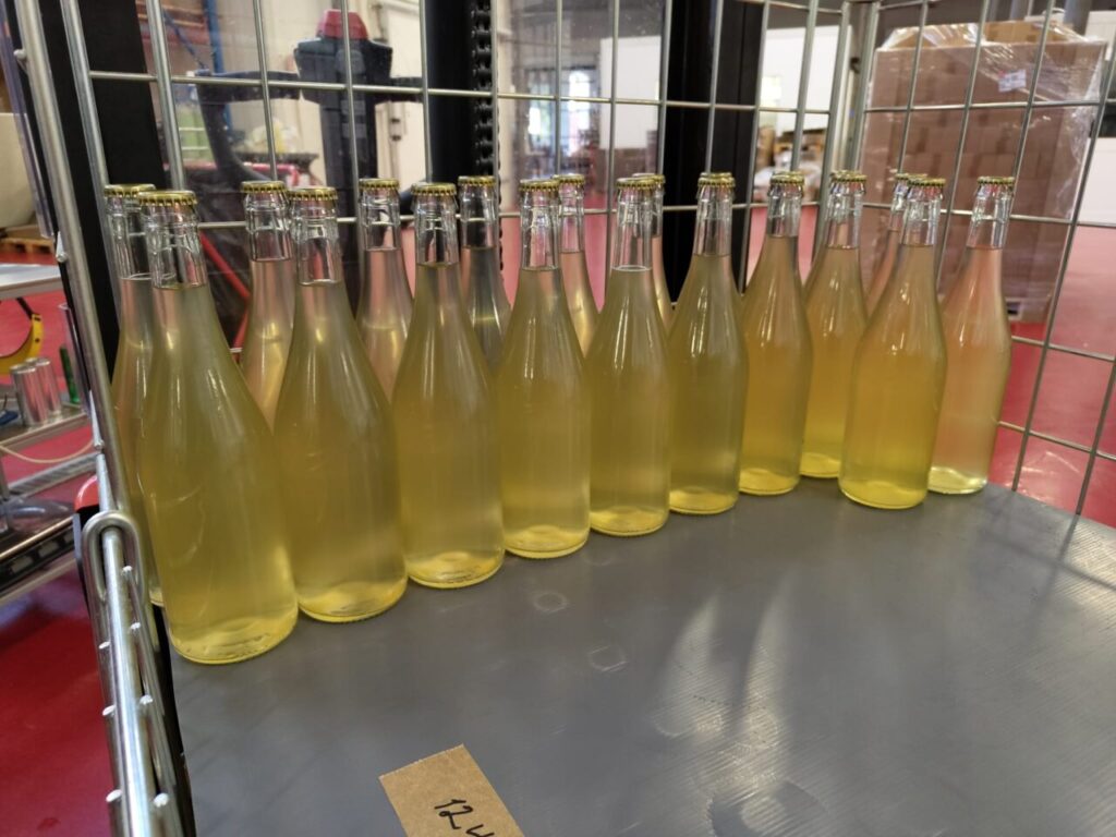 Le prime bottiglie di Kombwine, in fase di sperimentazione (credits Andrea Moser)