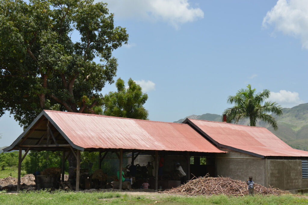 La distilleria di Michel Sajous a Haiti (credits Velier)