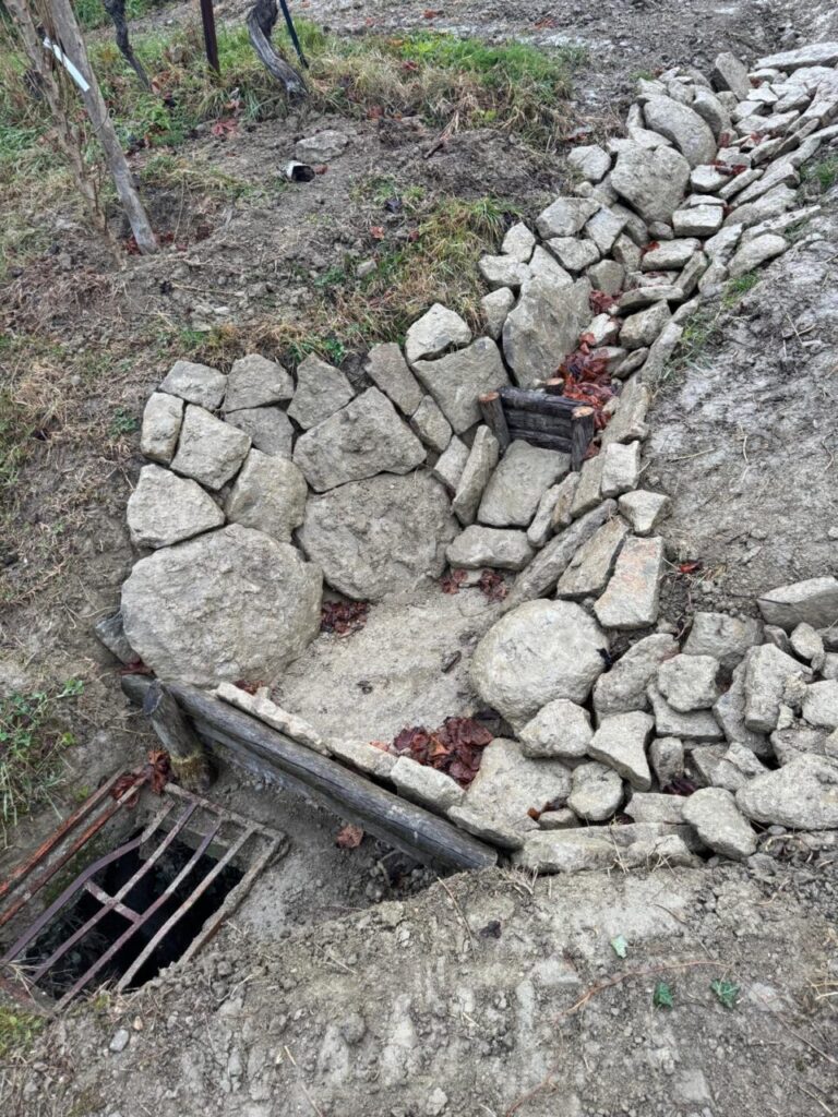 Gestione del flusso delle acque in vigneto (credits Stefano Lorenzi e Lorenzo Costa)
