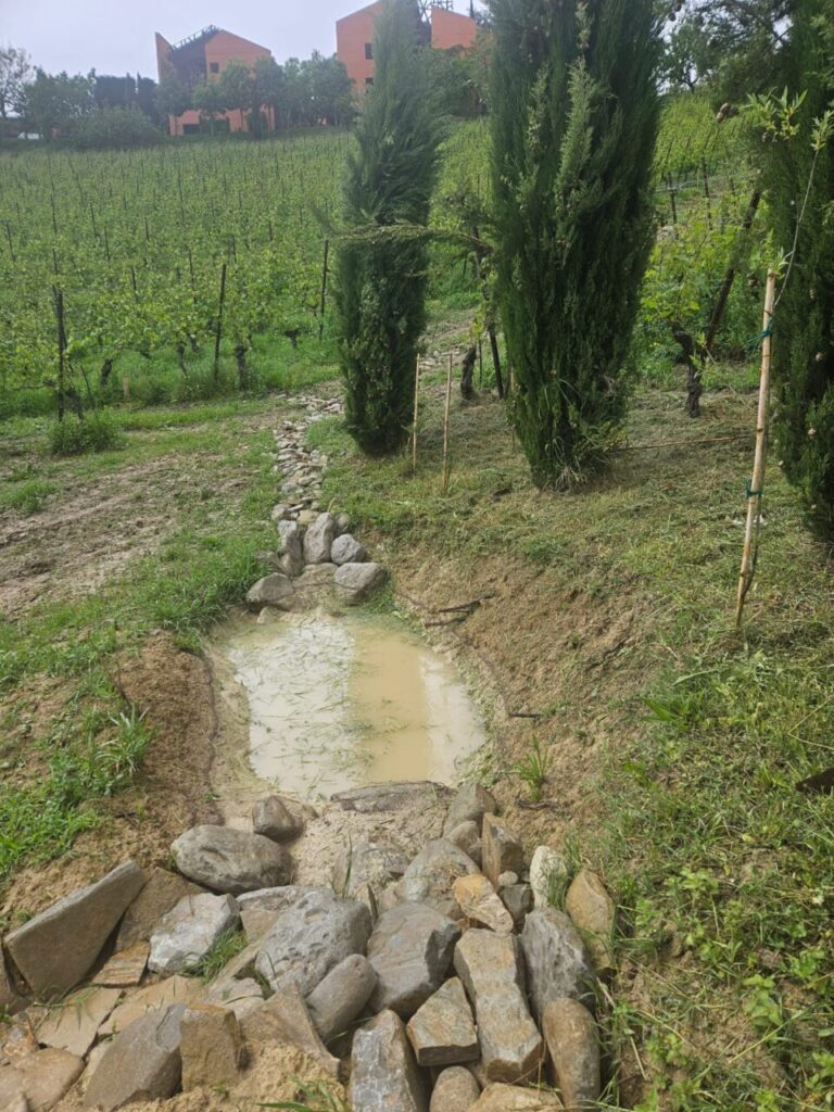 Un esempio di lavoro per la gestione delle acque in vigna (credits Stefano Lorenzi e Lorenzo Costa)