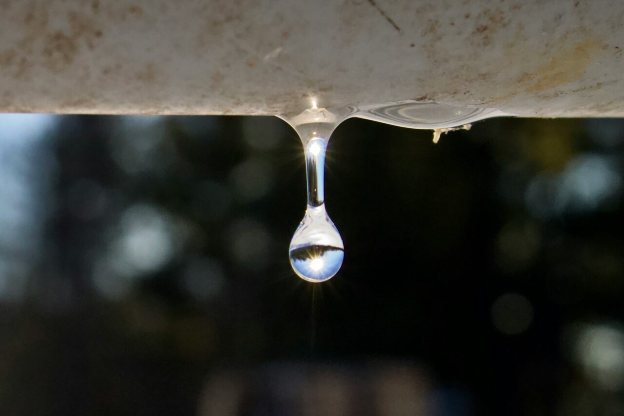 crediti foto abigail - unsplash