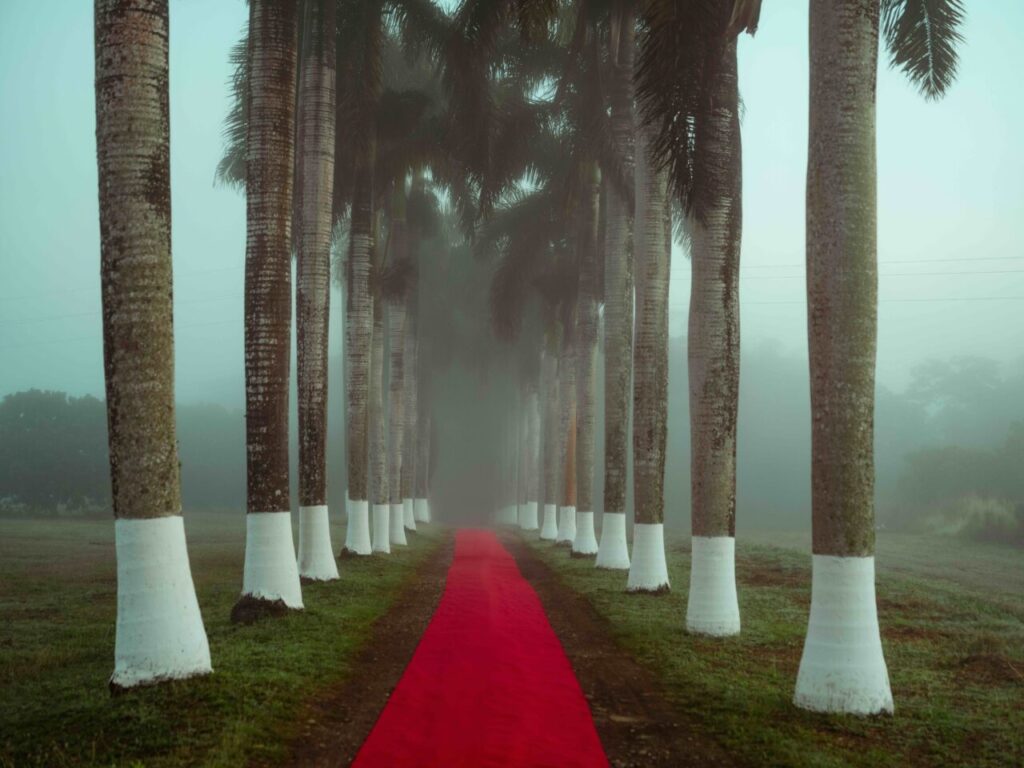 @Cristina De Middel/Magnum Photos @Cristina De Middel/Magnum Photos
