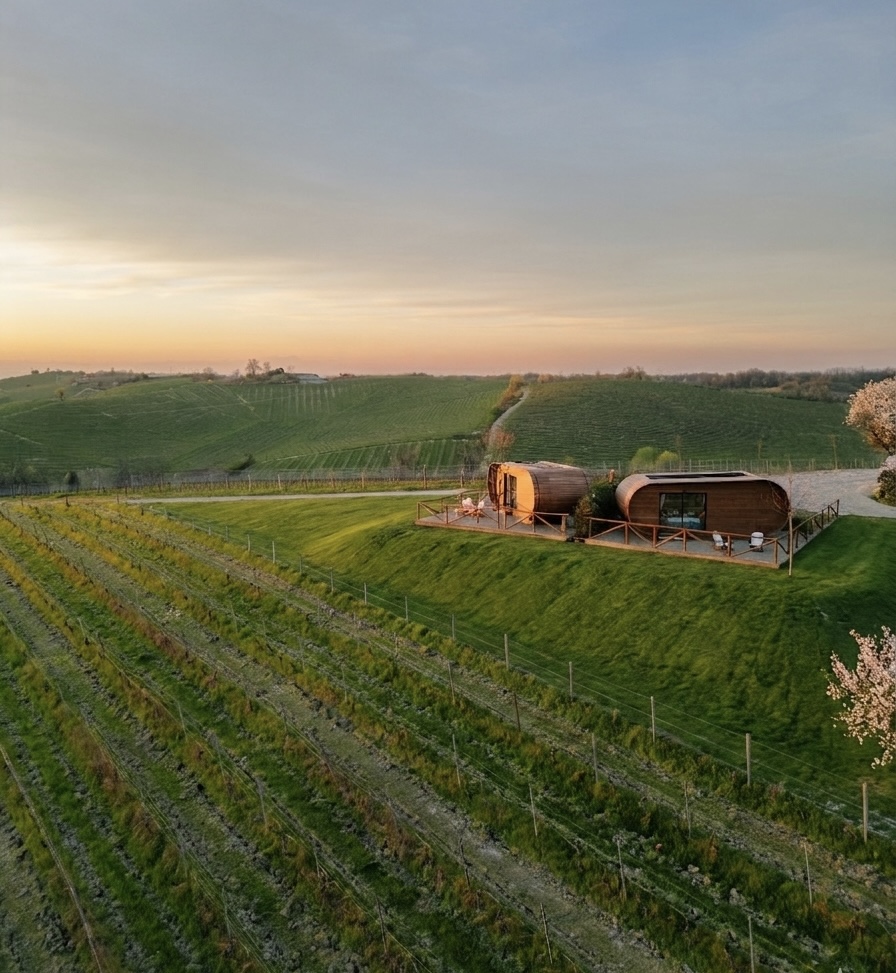 Le wine suite che mancano alle cantine