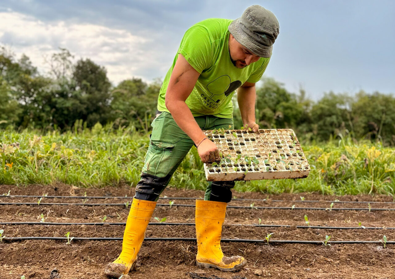 Se il riciclo del caffè ridefinisce i confini dell’agricoltura sociale