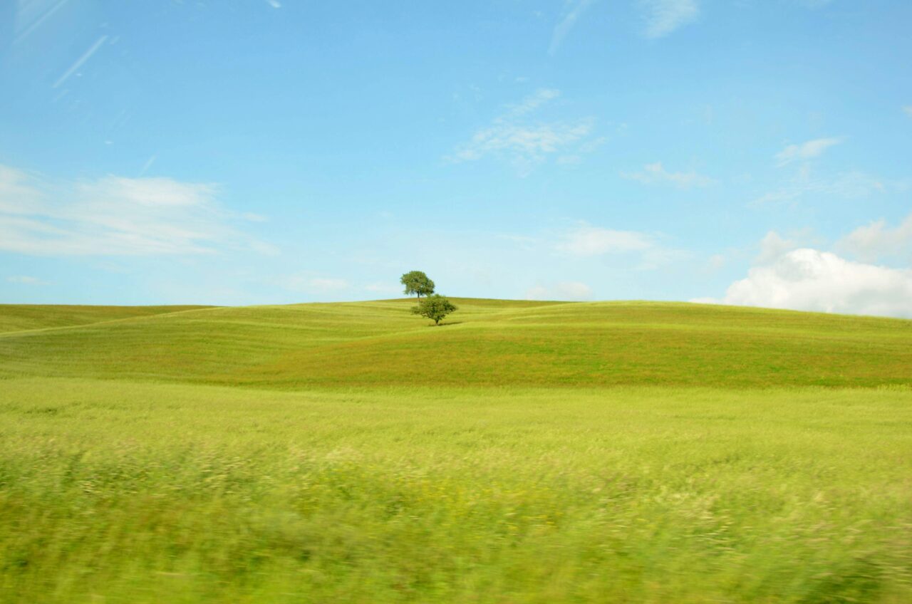 Serve una candidatura riformista per svegliare il campo largo