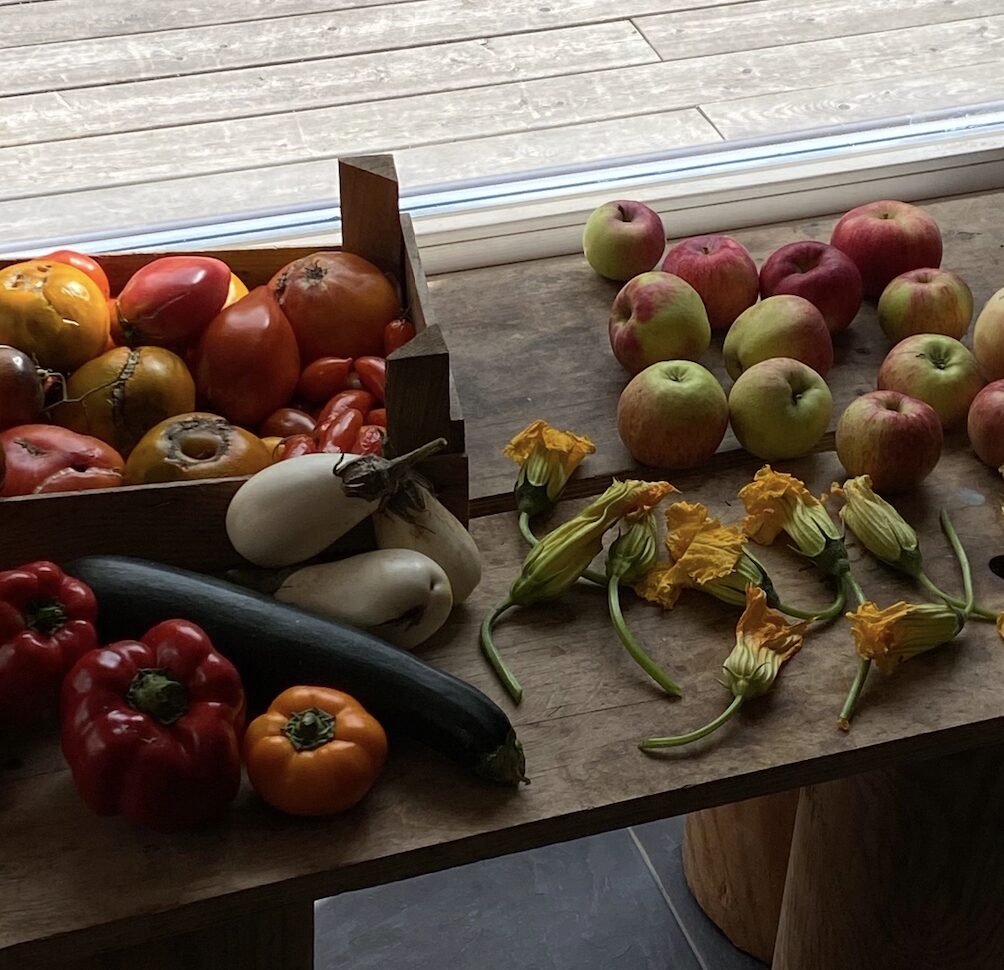il caldo record mette a rischio anche il cibo da Linkiesta.it il caldo record mette a rischio anche il cibo