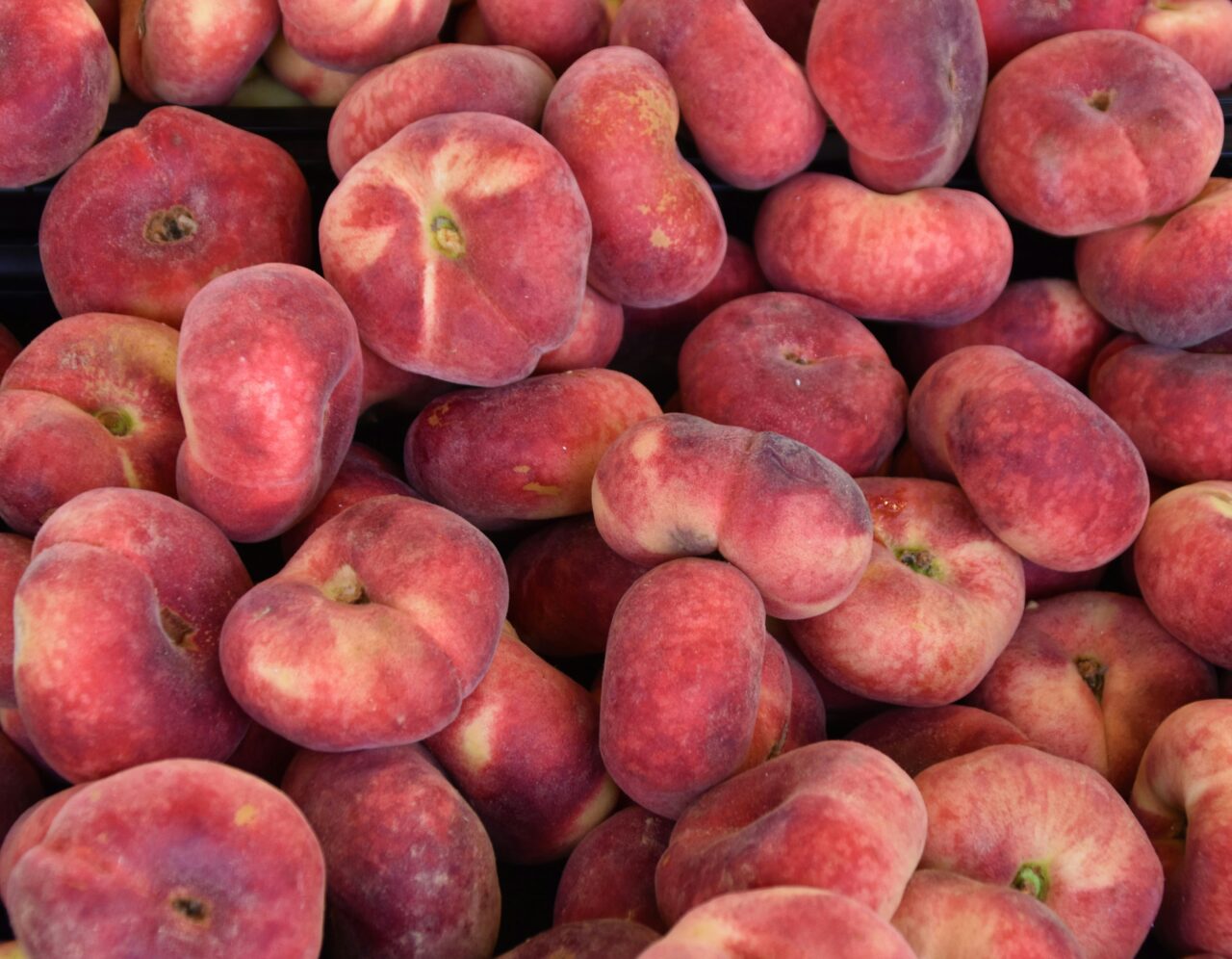 la domanda di frutta sta cambiando e le coltivazioni pure da Linkiesta.it la domanda di frutta sta cambiando e le coltivazioni pure