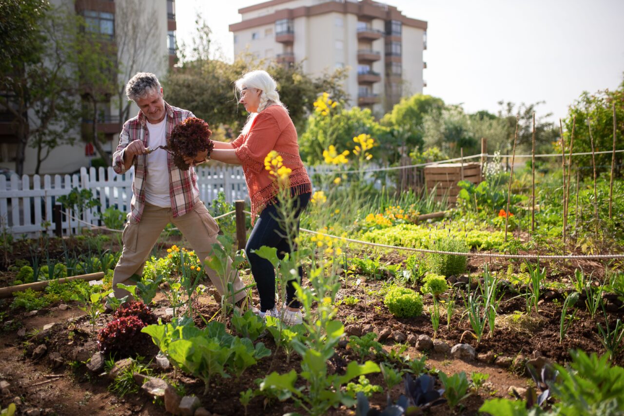il cibo diventa una politica urbana da Linkiesta.it il cibo diventa una politica urbana